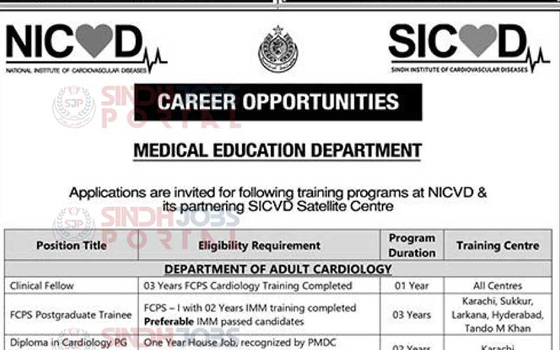 NICVD-Jobs-2024