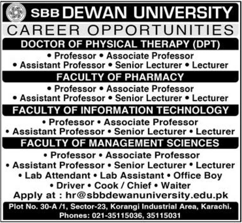 SBB-Dewan-University-Jobs-2025