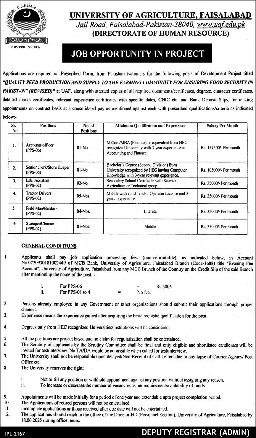 University of Agriculture Faisalabad Multiple Vacancies