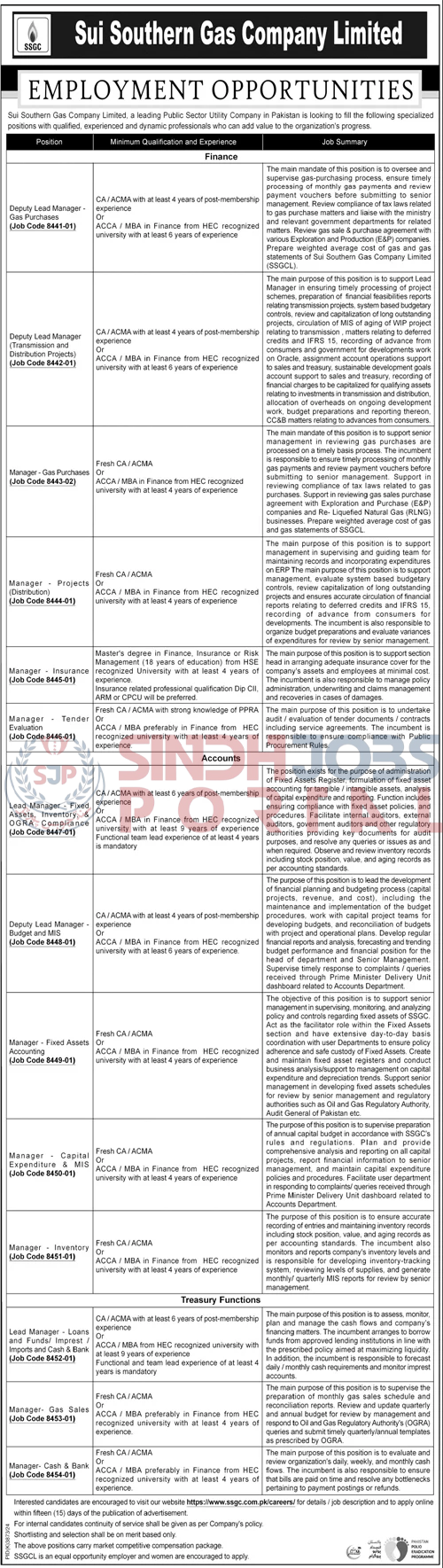 Sui Southern Gas Company Limited Jobs in Finance Accounts & Treasury 2025